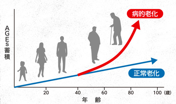 老化最終生成物AGES